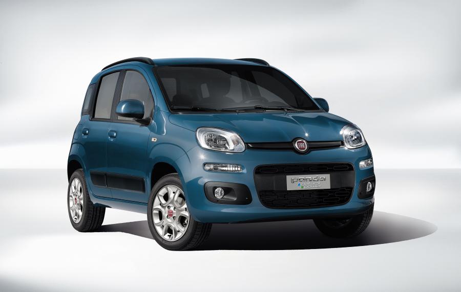  Fiat Panda Natural Power (319) 2012 года  (фото 29 из 38)